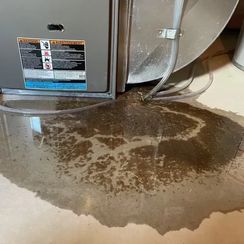 Appliance Leak Cleanup in Delta, OH